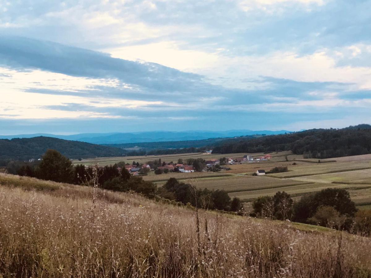 Landvilla Sinelia Premium Dietersdorf am Gnasbach Dış mekan fotoğraf