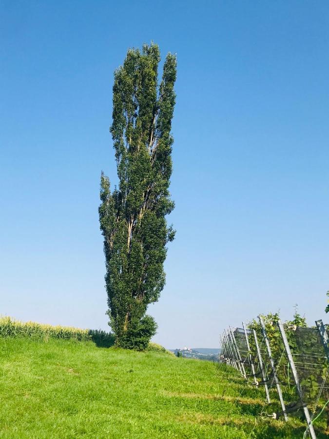 Landvilla Sinelia Premium Dietersdorf am Gnasbach Dış mekan fotoğraf