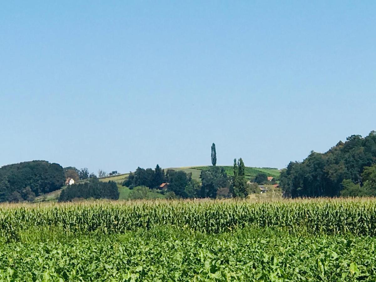 Landvilla Sinelia Premium Dietersdorf am Gnasbach Dış mekan fotoğraf